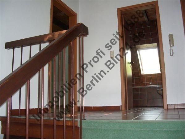 Haus + Garten + neuem Wannenbad - zur Miete – Burh. 43 außen 021