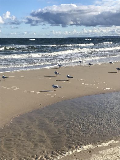 Maritimes Paradies unter Reet auf der Insel Usedom – Foto 15
