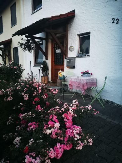 Ansicht Vordergarten