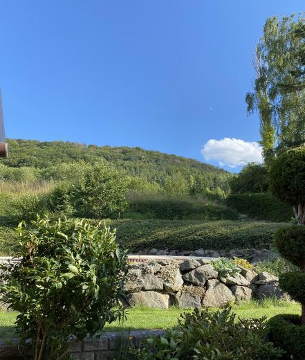 Einfamilienhaus mit Pool und großem Garten – Garten