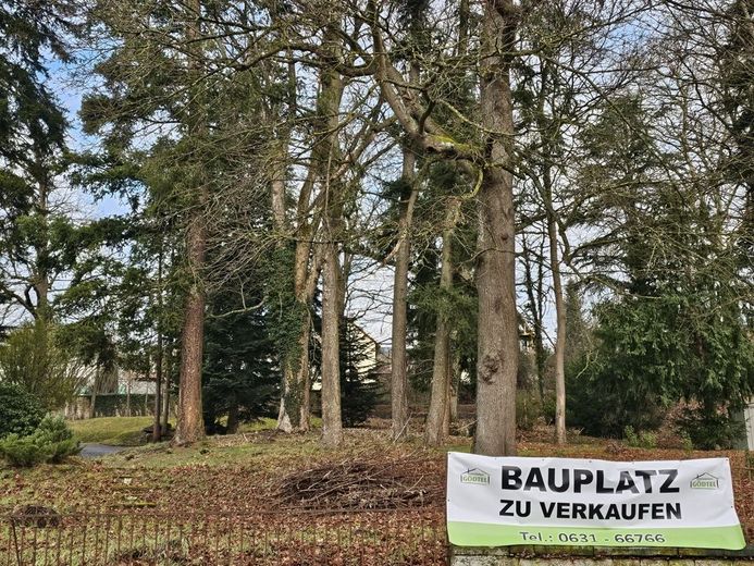 Schöne Grundstücke sind selten geworden: Bauplatz, 900 m² im Park mit altem Baumbestand - zugreifen! – Bauplatz in bester Lage