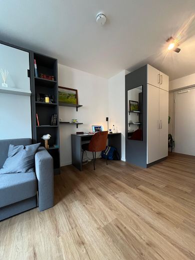 Furnished studio apartment - Himpfelhof – Arbeitsbereich
