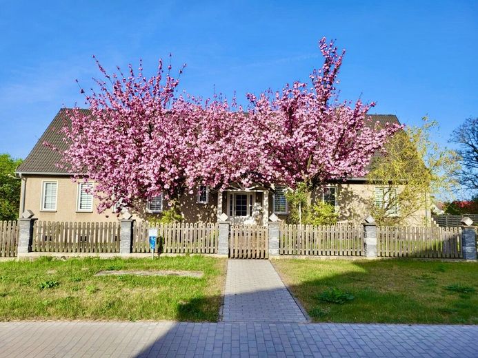 HORN IMMOBILIEN + großzügiges und elegantes Einfamilienhaus mit Einliegerwohnung und Garage in Gartz – Hausansicht