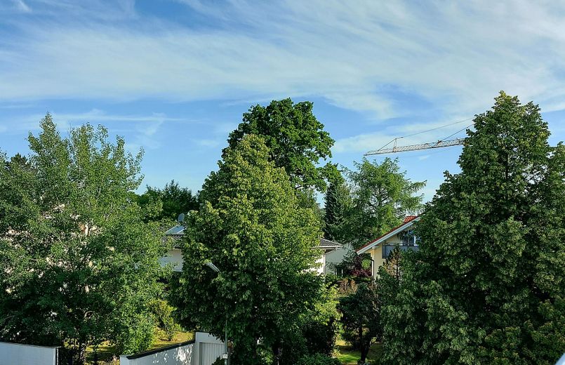 Nordblick vom DG Balkon