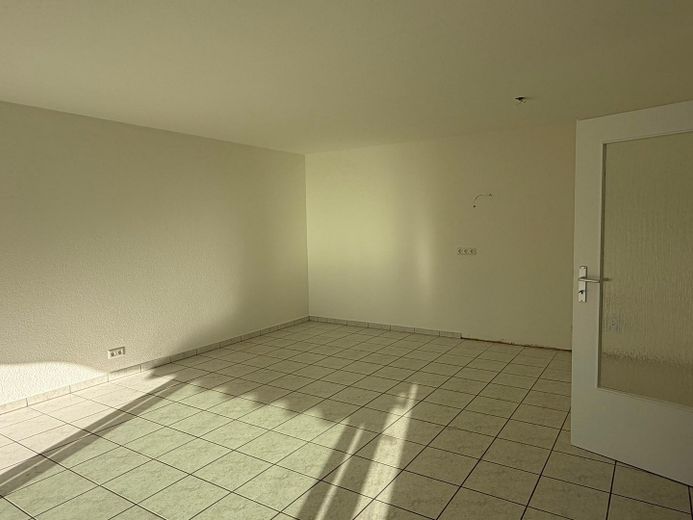 Appartement rénové de 3 pièces à proximité de la frontière – Wohnzimer / Küche