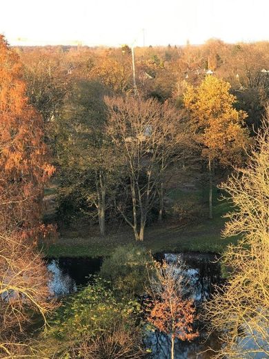 Ausblick