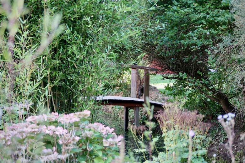 Gartendetail