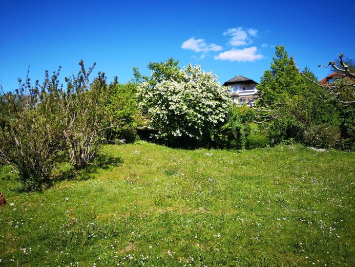 Blick in den Garten