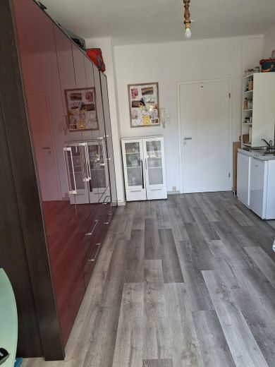 Helle Einzimmerwohnung mit Pantry Küche in zentraler Lage – Zimmer II