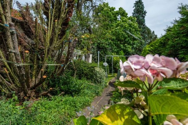 Projektgrundstück mit Potential für Mehrfamilienhausbebauung - vielfältige Entwicklungsmöglichkeit in Dreieich-Offenthal