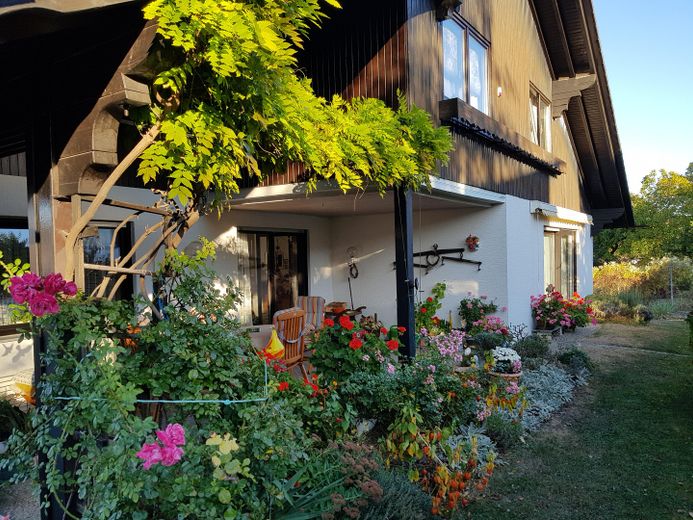 Blick auf die Terrasse
