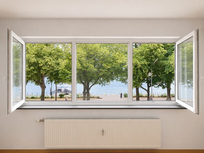 Wohnzimmer Fenster