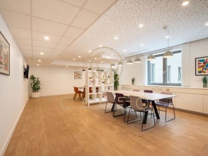 CALEO ¦ Bezirk 6 ¦ Mariahilfer Str ¦ flexibel + sofort bezugsfertig ¦ all inclusive ¦ PROVISIONSFREI – Foto 1