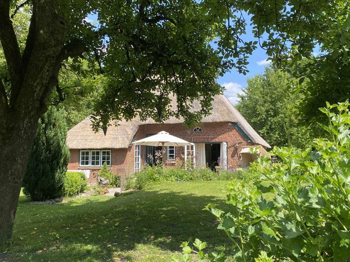 Gartenansicht 1, Sonnenseite