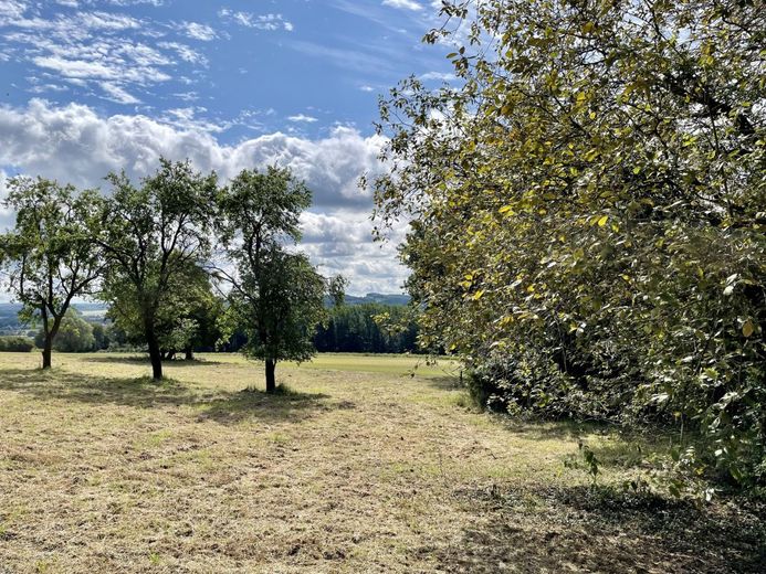 Fröndenberg/Ruhr: Eines der schönsten Grundstücke der Stadt! – Baugrundstück Fröndenberg