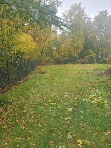 Traumvilla am See mit Einliegerwohnung – Garten