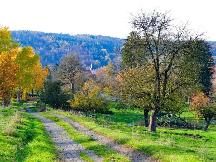 Bad König-OT: idyllische 2-familiewoning op een droomachtige locatie aan de bosrand – Foto 1