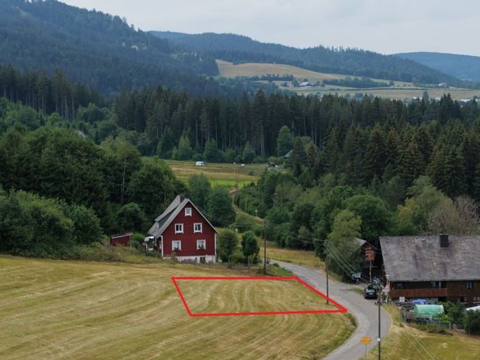 Traumlage im Schwarzwald – 
Baugrundstück in Hinterzarten – Foto 1