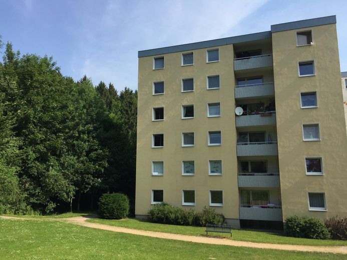 Große 4 Zimmer Wohnung mit Waldblick – Außenansicht