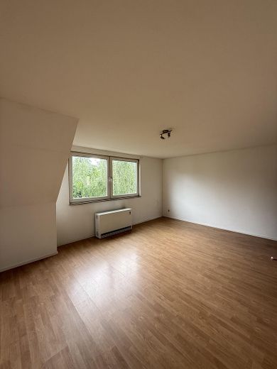 Frisch renovierte 3-Zimmer-Dachgeschosswohnung mit Tageslichtbad & Gästebad in Essen – Wohnzimmer