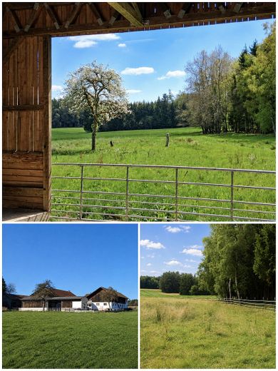 Pequeña finca/granja en ubicación absolutamente aislada al borde del bosque – Foto 10