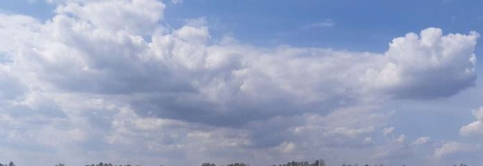 63,9 ha Acker- und Waldflächen in Trebitz und Brück