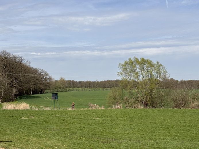 Exklusives Wohnen mit Garten, Neubezug n.Renovierung mit 2 großzügigen Balkonen – Fantastischer Blick ins Grüne