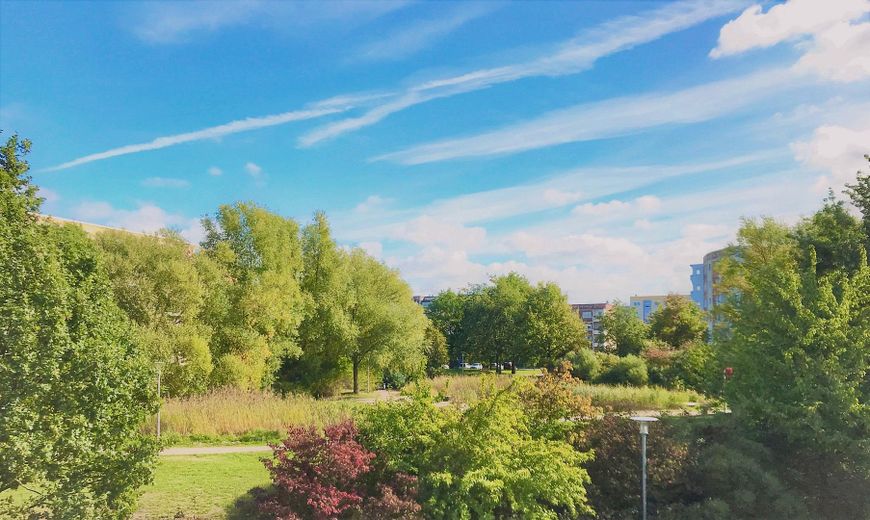 Jasne 2-pokojowe mieszkanie z windą, parkingiem podziemnym i widokiem na park – Aussicht