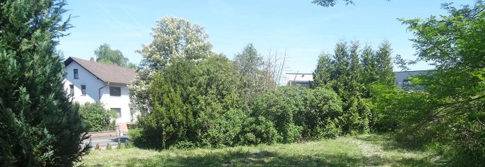 Garten, Grundstück