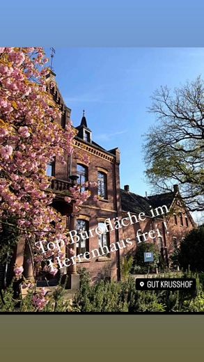 Arbeiten und Wohnen – Foto 9