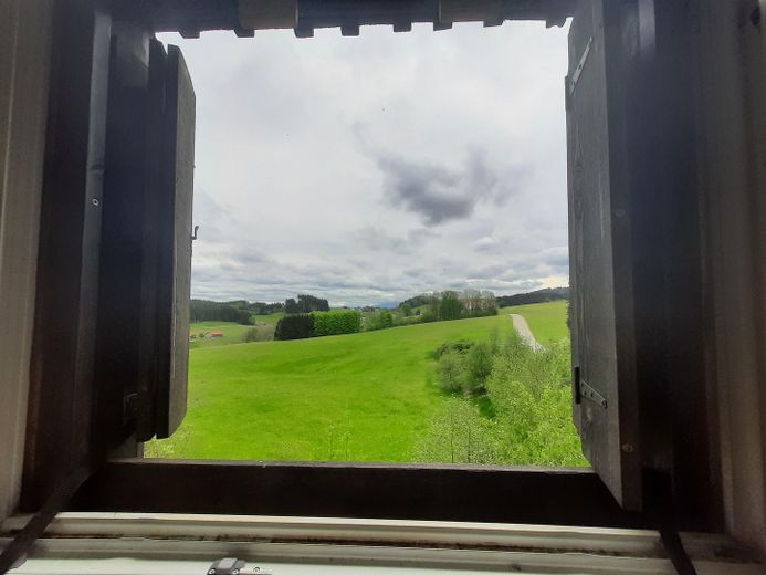 Ausblick aus dem 2. OG