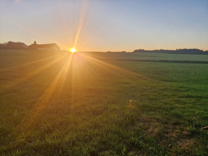 Blick vom Grundstück am Abend