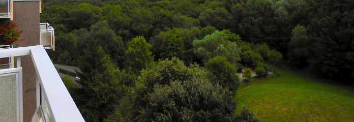 Blick vom Balkon