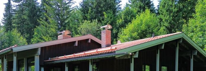___Großzügiges LANDHAUS mit ELW auf WEITLÄUFIGEM Grundstück mit BERGBLICK___