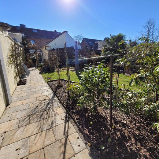 Blick in den Garten