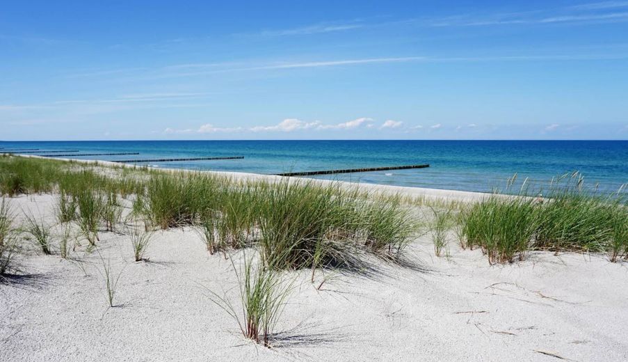 ZINGST Ostsee strandnahes FERIENHAUS: HÄLFTE-Miteigentums-ANTEIL für 210.000.- – Foto 20