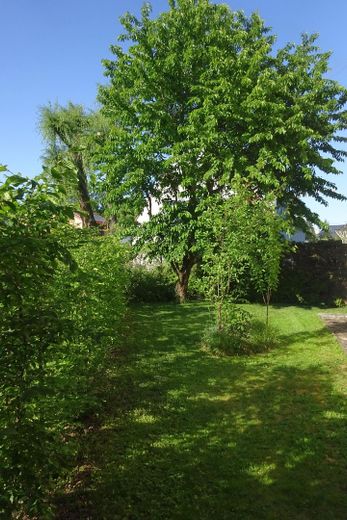Raumwunder mit Potenzial: Ihr neues Zuhause im Herzen von Markt Schwaben – Garten_2