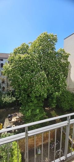 ruhige und helle 2-Zimmer-Wohnung in Toplage, bezugsfrei – Kastanienbaum im Innenhof