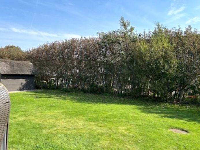 Rundum Büsche als Sichtschutz