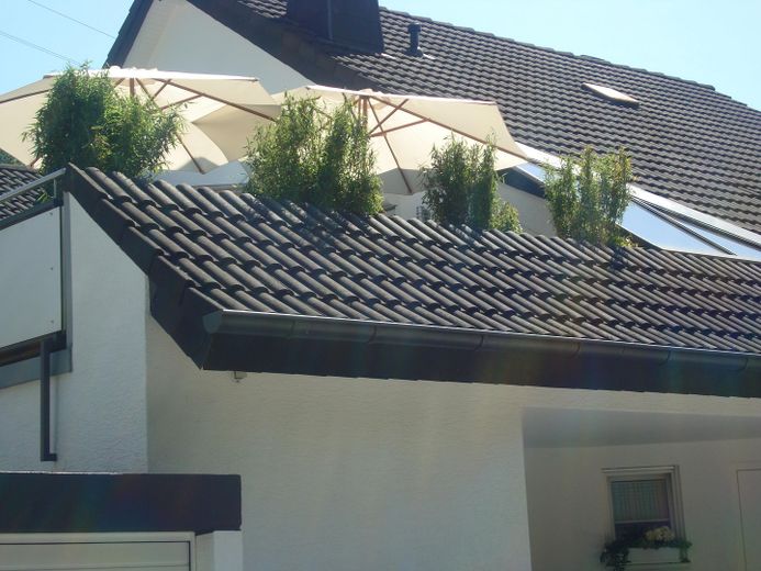 Saarbrücken! Luksusowy dom przy lesie, a jednak w mieście – spokojna, prestiżowa lokalizacja, wszechstronne możliwości wykorzystania – Straßenansicht