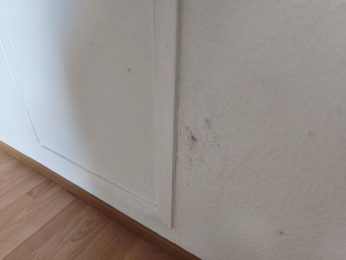 3-Zimmer Dachgeschosswohnung - befristet auf 2 Jahre – फोटो 16