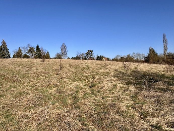 HORN IMMOBILIEN++ Baugrundstücke in Brüssow – Grundstücke