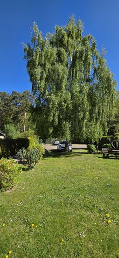 Sonnige Wohnung Kühlungsborn – Parkplatz