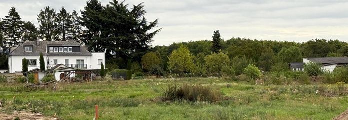 Gelände vor -Erschließung