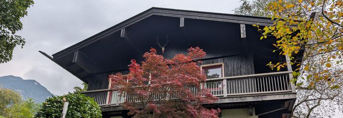 Künstler-Chalet in ruhiger Hanglage mit Restbaupotenzial – Hausansicht