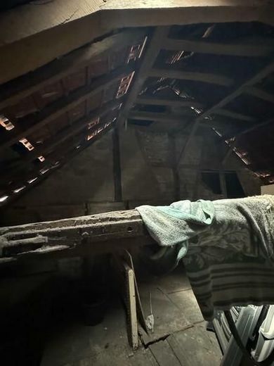 HANDWERKERJUWEL! Altbauflair für Bewohner mit jungen Ideen! Die Vergangenheit zur Zukunft machen! – 2 OG und Dach (2)