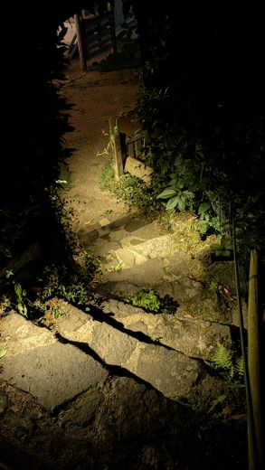 Terrassen-/Gartentreppe