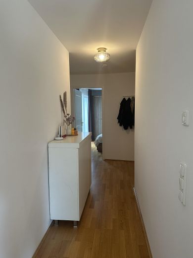 Luminosissimo appartamento di 2 locali di altissima qualità, metropolitana/tram a 3 min, con wallbox/climatizzazione/cucina nuova, vicino al parco – Einrichtungsbeispiel