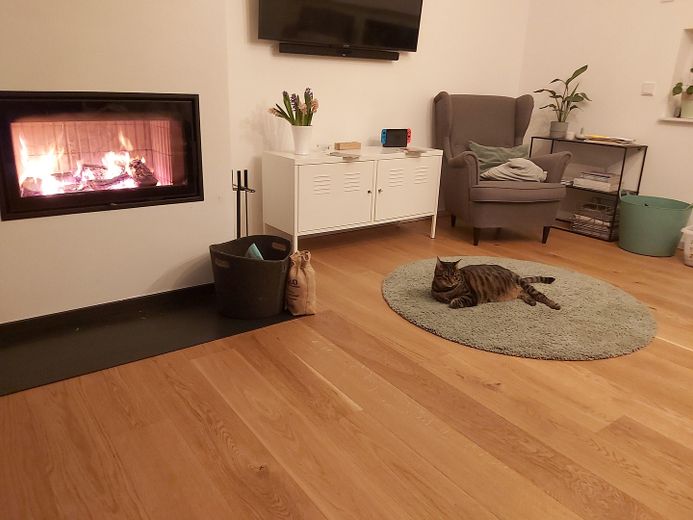 Exklusives Einfamilienhaus mit parkähnlicher Gartenanlage, hoher Autarkiegrad – फोटो 14