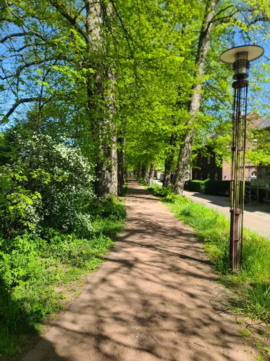 Wohnen direkt am Rhein in Orsoy .... – Wallrundweg 2 Frühling